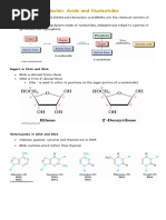 Nucleic Acid