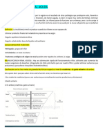 3.insuficiencia Renal Aguda