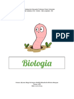 Biologia - Vermes