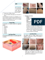 Intro A La Dermatología