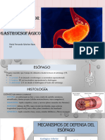 Enfermedad Por Reflujo Gastroesofágico