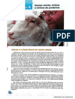 PDF núcleo celular