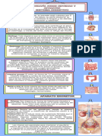 Infografia 