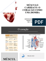 Músculo Cardíaco