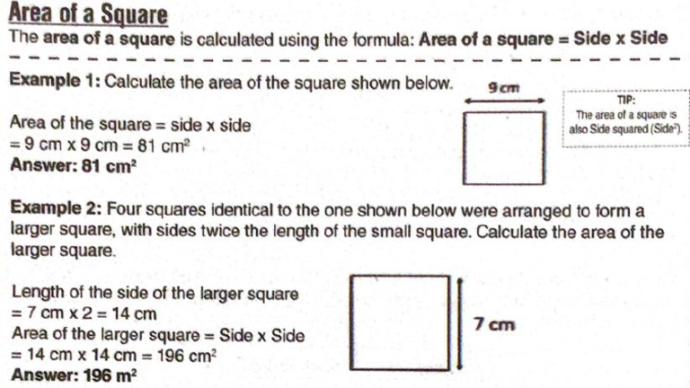 Area 2 | PDF