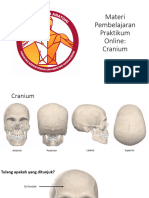 1.materi Pembelajaran Dan Soal Latihan Praktikum Online - Cranium