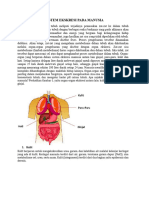 Materi 5 Sistem EKskresi Pada Manusia