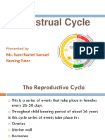 Menstrual Cycle PDF