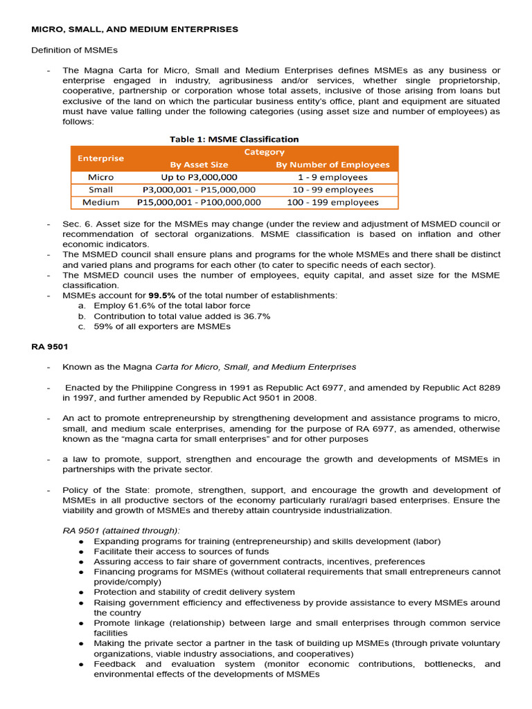 MICRO, SMALL, AND MEDIUM ENTERPRISES (G2 HANDOUT) | PDF