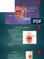 Oral Cavity Nursing