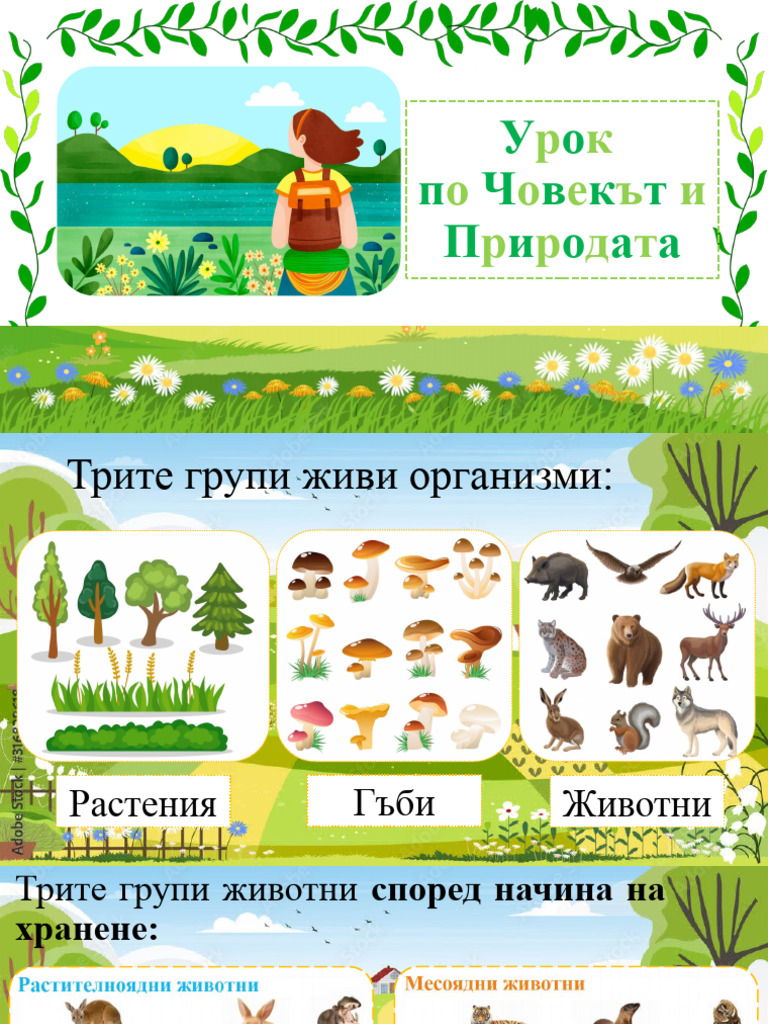 Хранителни вериги ЧП 3.клас | PDF