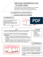 Alteraciones Del Desarrollo de La Zona Oral