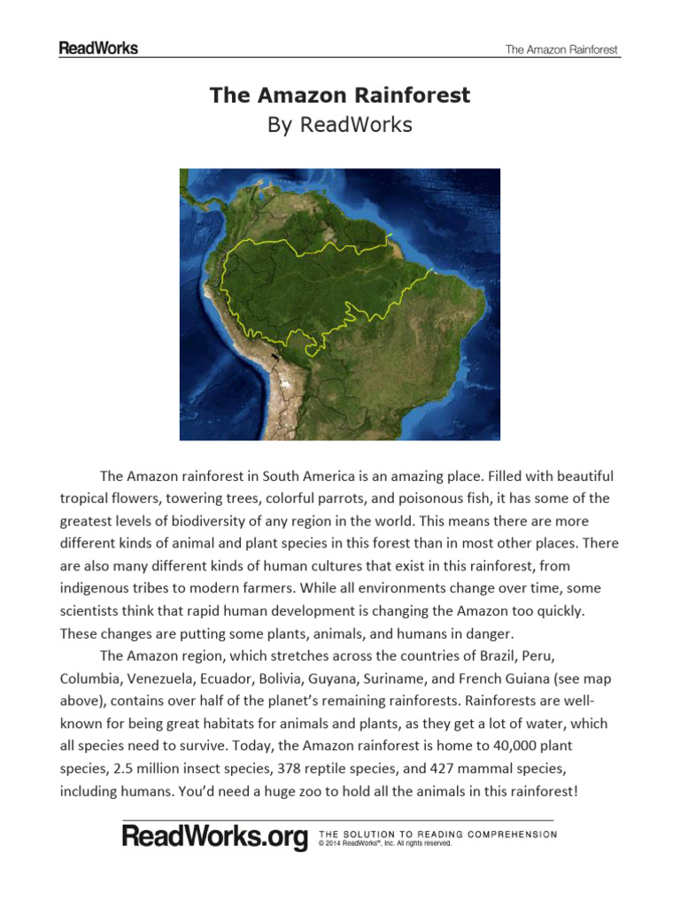 1240 The Amazon Rainforest 0 Pdf Amazon Rainforest Rainforest