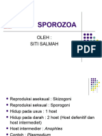 Protozoa 3 Sprorozoa