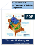 Structures and Functions of Organelles and Other Subcellular Components - Complete Note