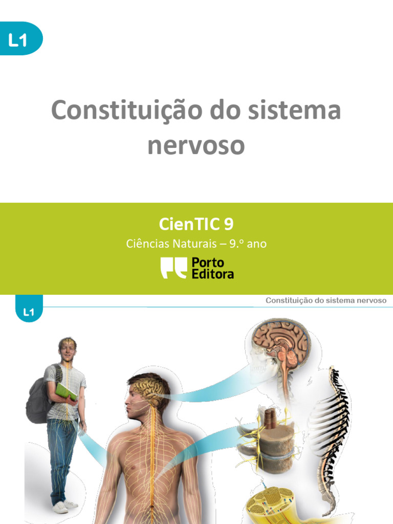 Sistema Nervoso Pdf Sistema Nervoso Central Neurônio