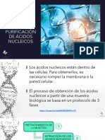 UT 6. Extracción y Purificación de Ácidos Nucléicos