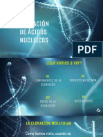 UT 10. Clonación de Ácidos Nucleicos