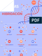 UT 8. Técnicas de hibridación de ácidos nucleicos