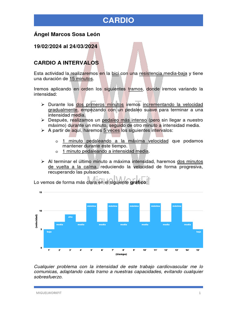 Cardio Ángel | PDF