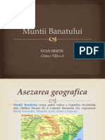 Muntii Banatului