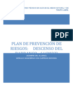 04 Plan de Prevención de Riesgos Actividad - GMN