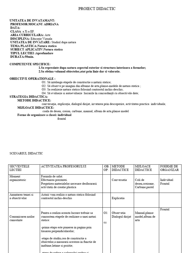 0 Proiect de Lectie Compozitia Plastica | PDF