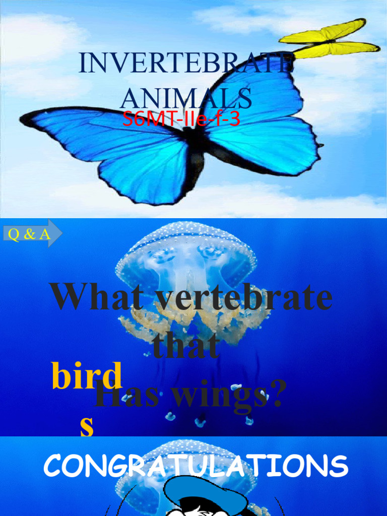 Invertebrate Animals | PDF