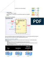 HC 4.2 de Celmembraan