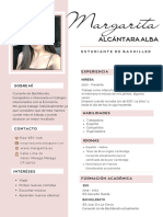 Currículum Vitae CV Diseñadora y Arquitecta Minimalista Rosa