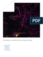 Modulatory Przekaznictwa Synaptycznego