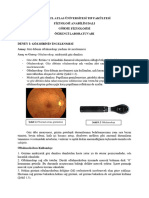 Şekil 1.1 Normal Retina Görüntüsü Şekil 1.2 Oftalmoskop