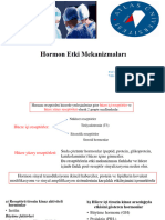 Hormon Etki Mekanizmaları: Prof. Dr. Hafize UZUN Tıbbi Biyokimya AD