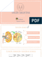 Función Tubular Renal 2024