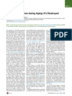 NAD+ Declines During Aging - It's Destroyed