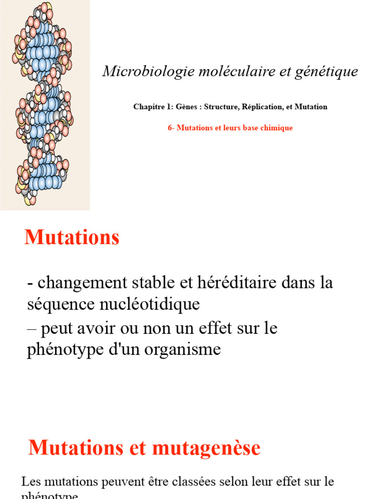 6-Mutations Et Leurs Base Chimique | PDF