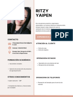 Blue Light Blue Color Blocks Flight Attendant CV