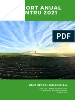 Grup Serban Raport-Anual-2021