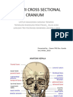 Anatomi Cross Sectional Cranium 