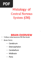 CNS Histology