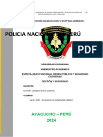 Trabajo Mografico de Seguridad Ciudadana 2024