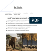 Tierpopulation Elefant