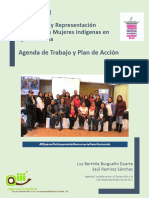 Participación y Representación Política de Las Mujeres Indígenas en Baja California. Agenda de Trabajo y Plan de Acción