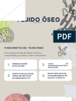 Tejido Oseo PDF
