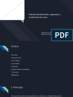 Práctica Identificación, Reparación y Sustitución de Lunas