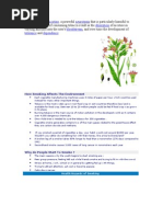 Download Tobacco Contains Nicotine by api-3810956 SN7065844 doc pdf