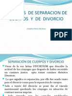 Causales de Separación de Cuerpos y de Divorcio - PPTX 2014