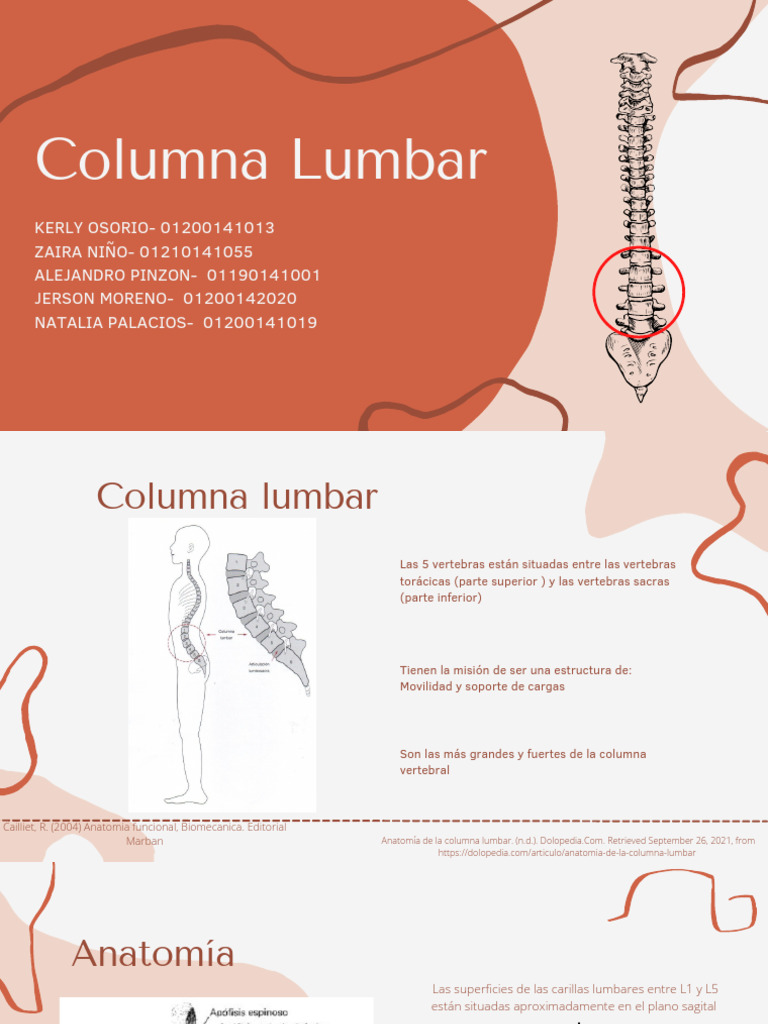 7.3grupo 4. Columna Lumbar 3.59 PM | PDF | La columna vertebral ...