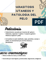 Parasitosis Cutanea