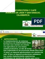 Agroforesteria y Cafe, Avances en Cajamarca